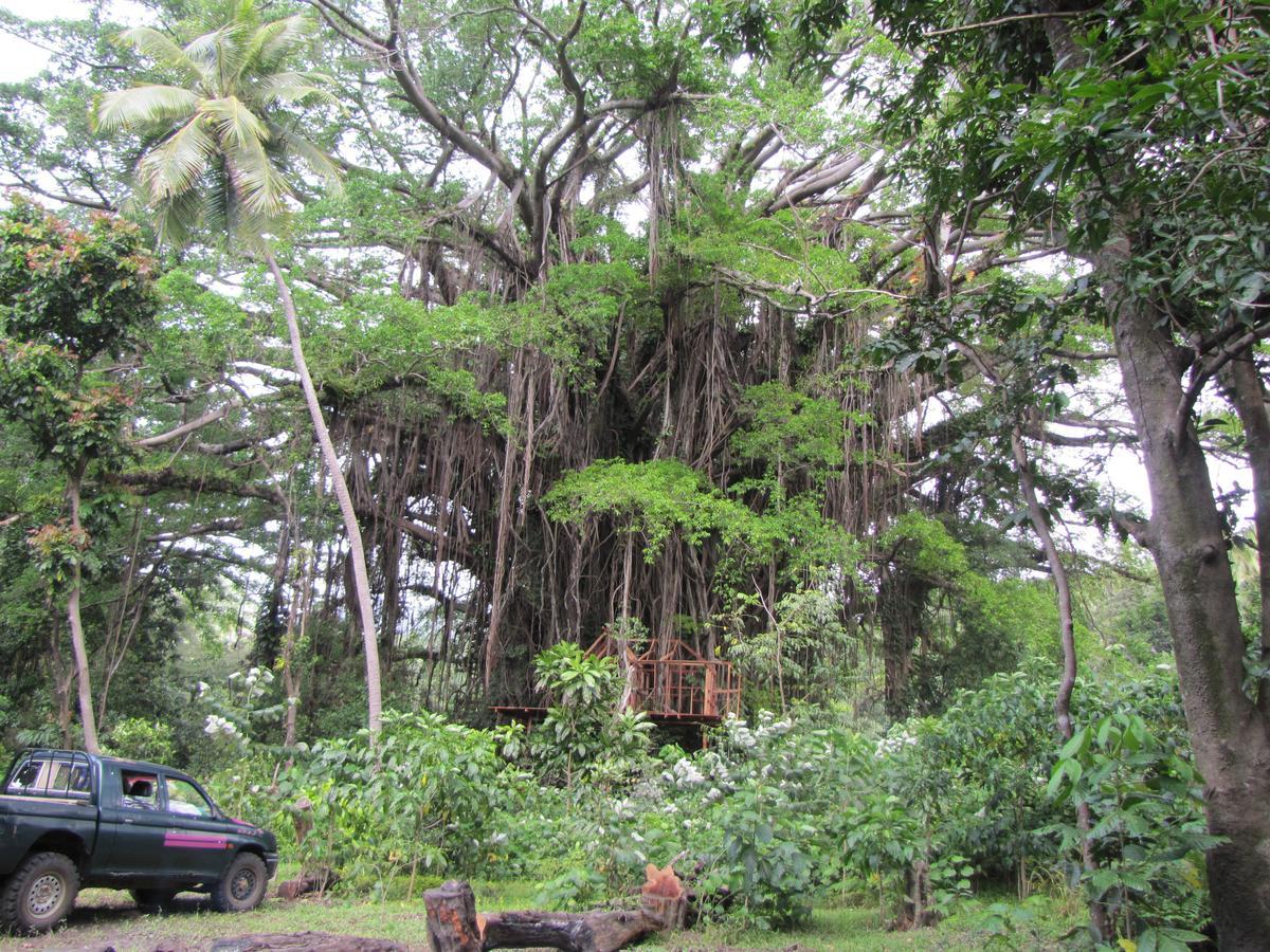 Yasur View Bungalows Loanengo Exterior foto